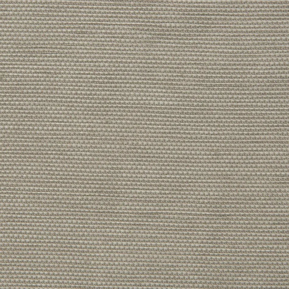 Beige Soft Canvas 2131